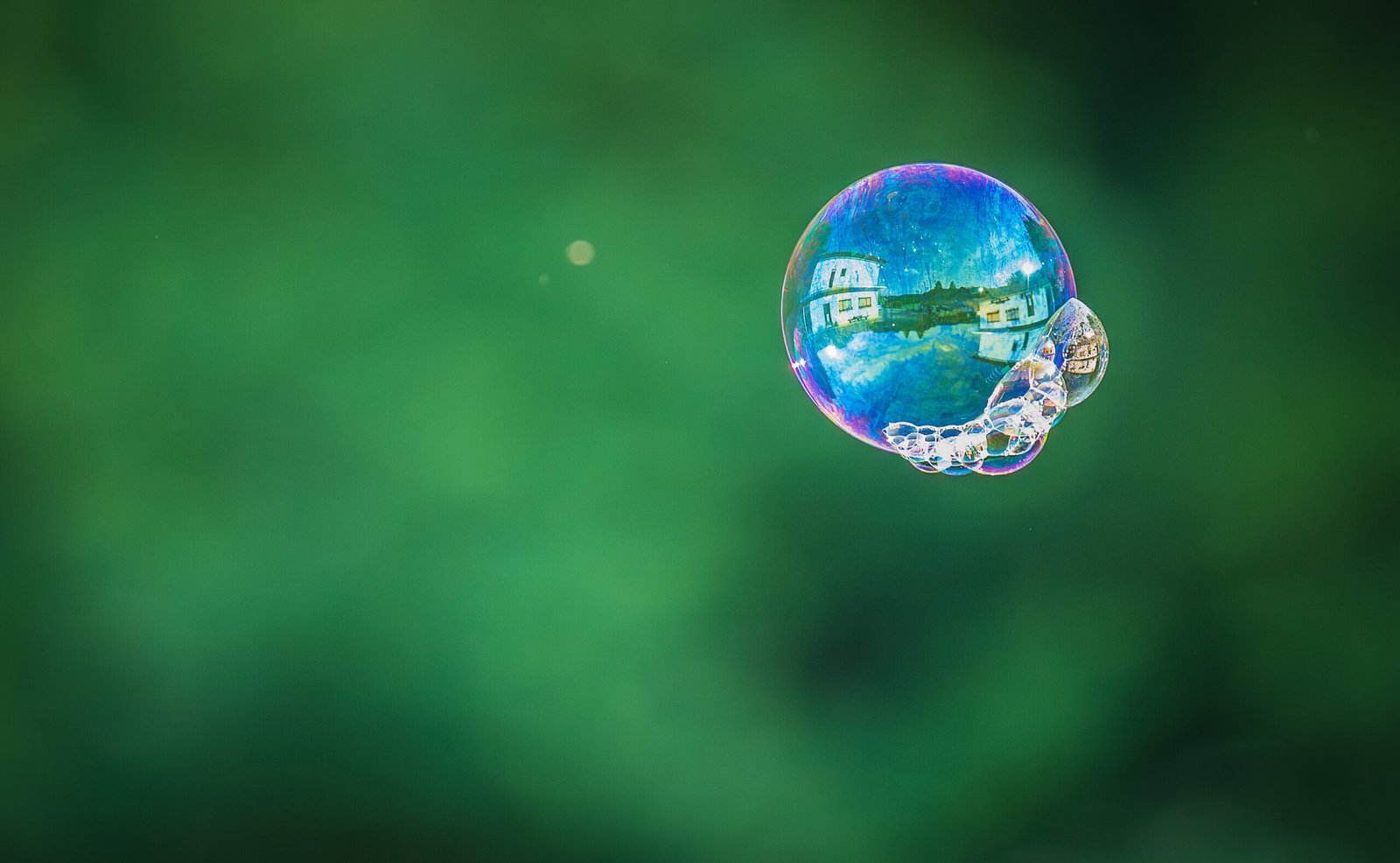 detalj prirodne fotografije bokeh efekt umjetnički pristup fotografiji Zagreb